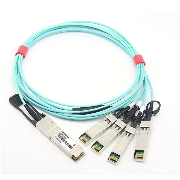 The fiber optic switch cannot connect to the internet - E-Motional Optics & Connectivity
