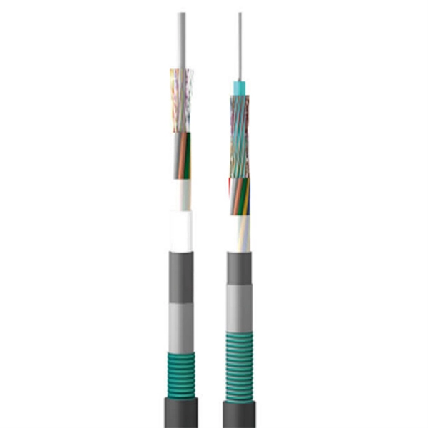 How much does it cost to replace a fiber optic router in Nepal 