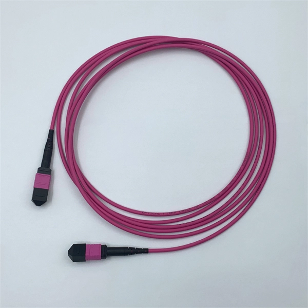 How to use this popular handheld fiber optic light source